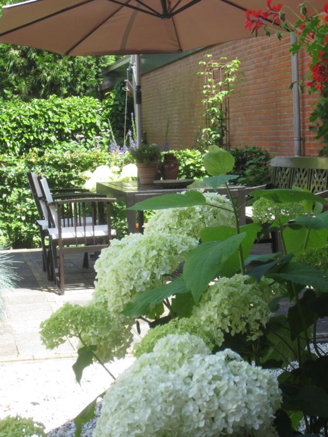 B&B De Gouden Vlo Donkerbroek Exterior photo